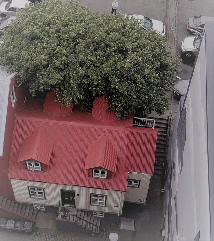 Grettir Guesthouse Reykjavík Esterno foto