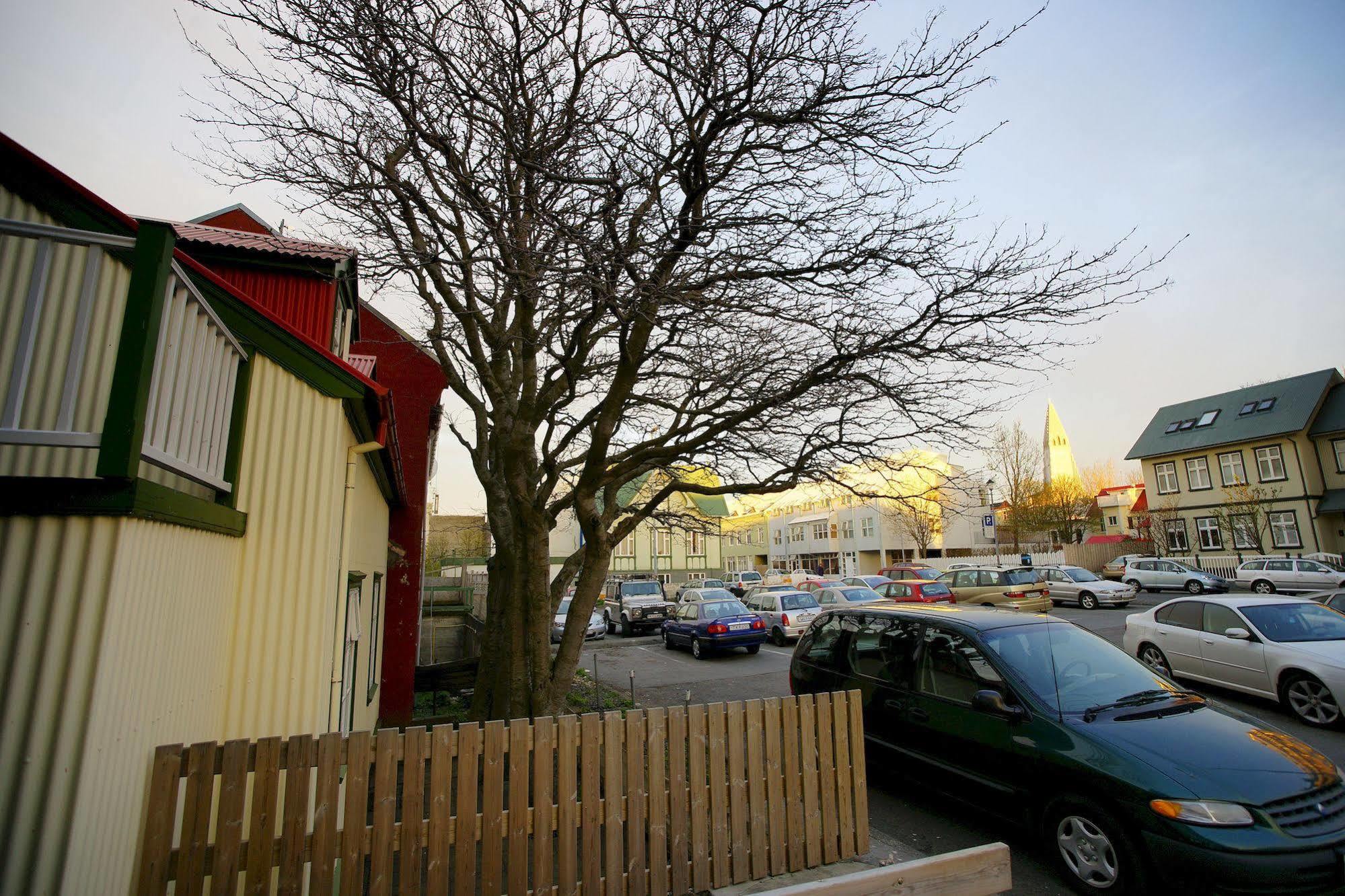 Grettir Guesthouse Reykjavík Esterno foto
